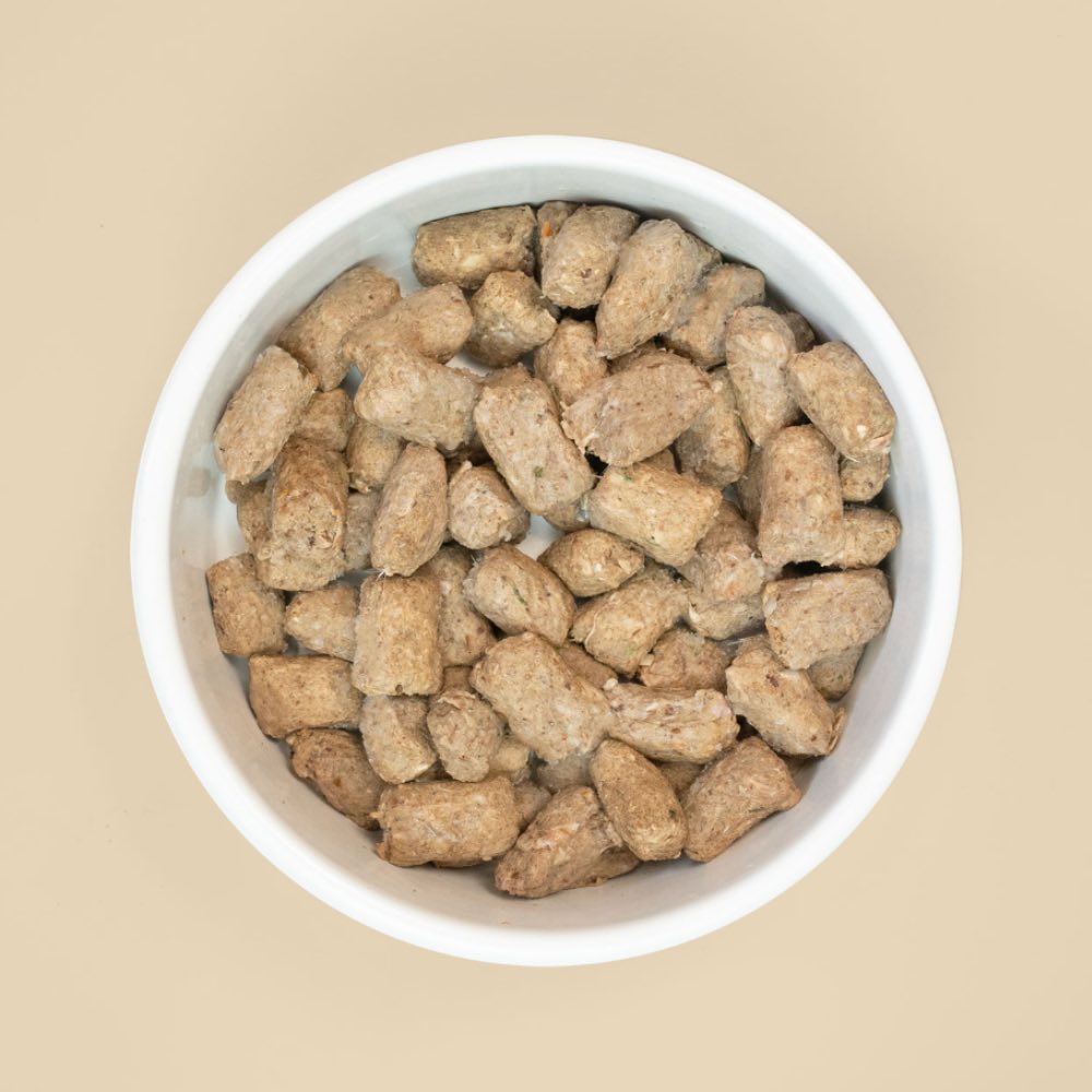 Big Dog Raw Bites Salmon Dog Food 1.3kg
