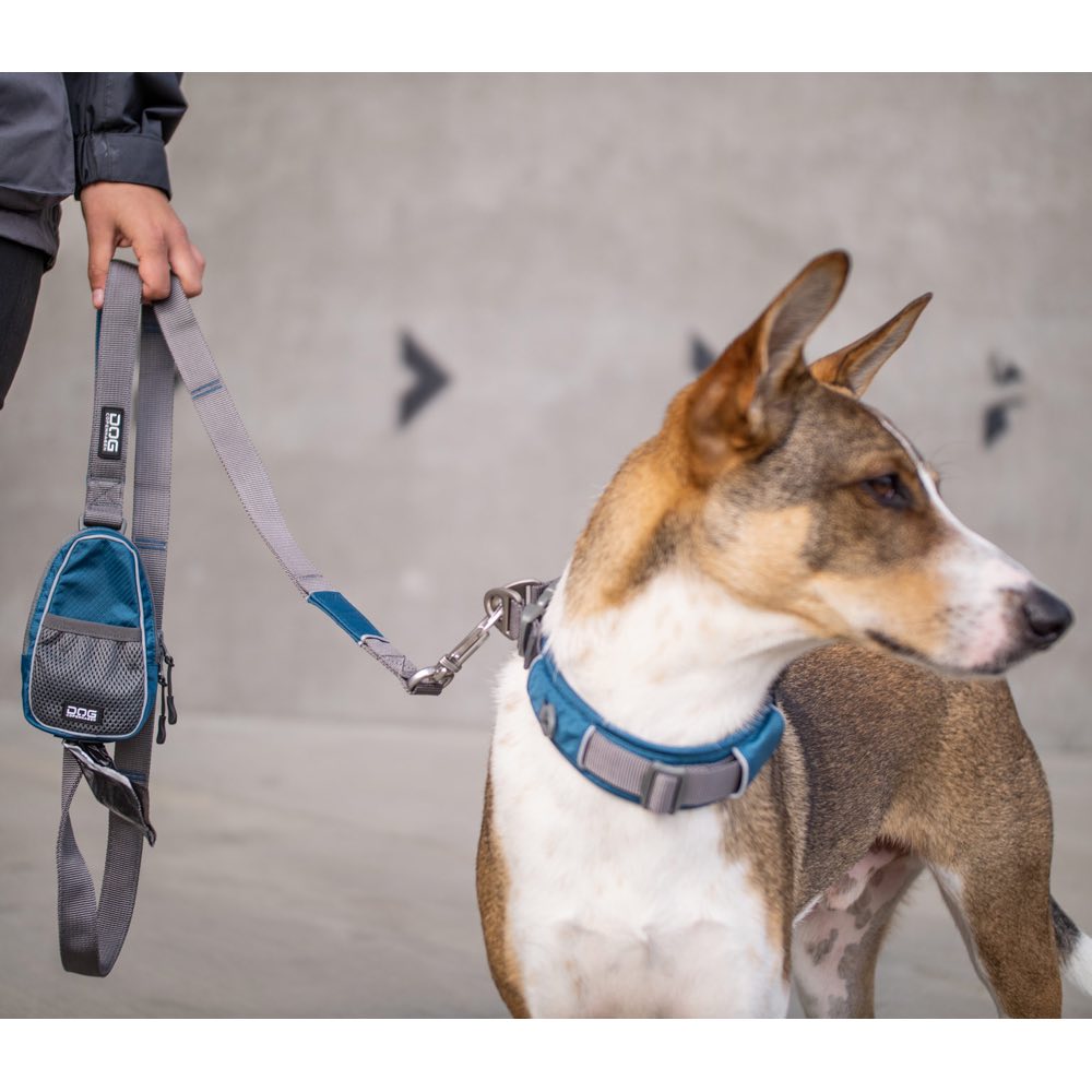 DOG Copenhagen Pouch Organizer Dog Leash Bag (Ocean Blue)