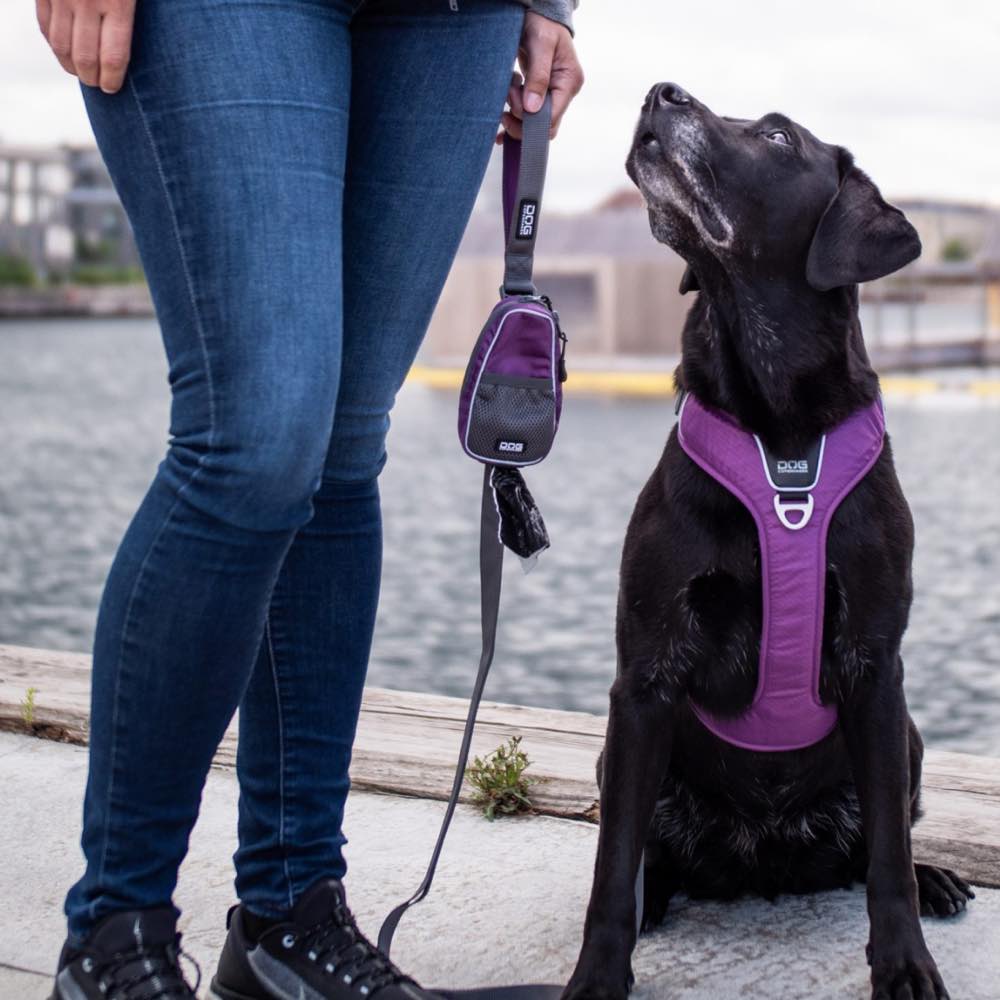 DOG Copenhagen Pouch Organizer Dog Leash Bag (Black)