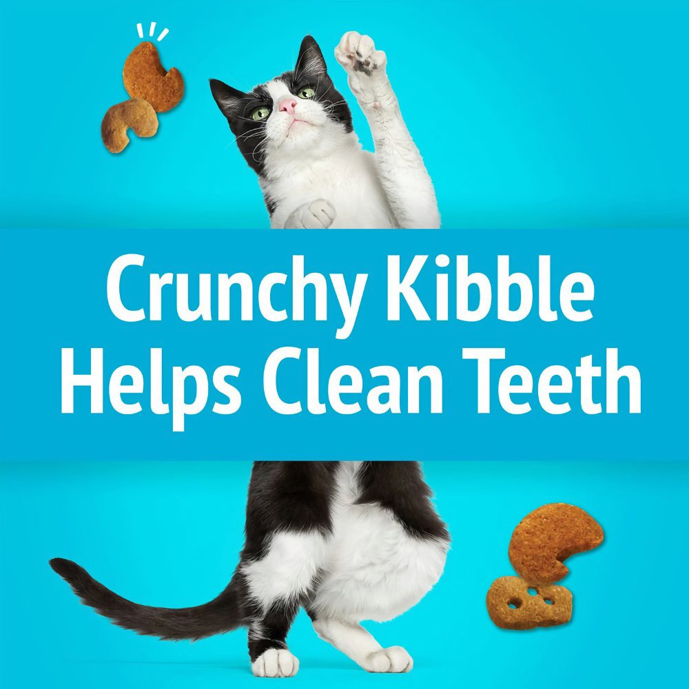 15% OFF: Friskies Party Mix Lobster & Mac ??N?? Cheese Cat Treats 60g