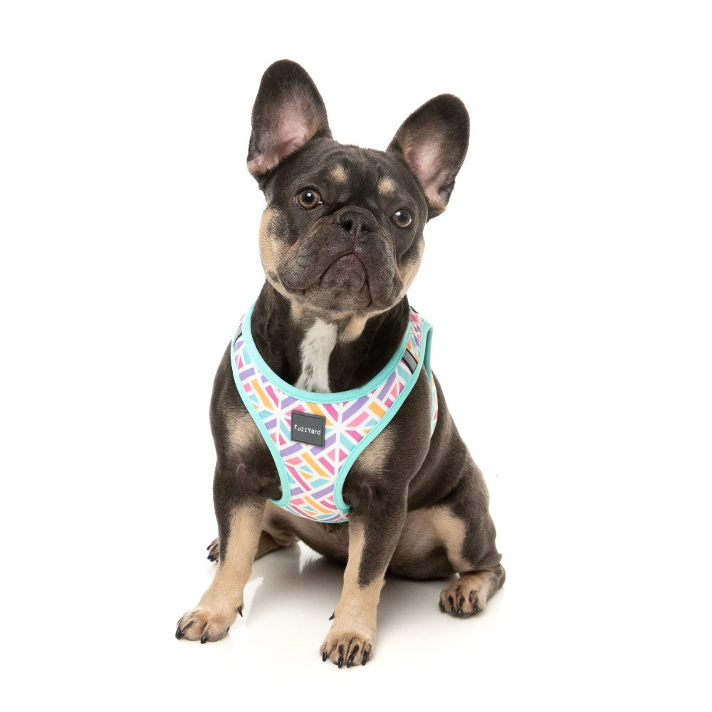 FuzzYard Bubblegum Burst Step-In Dog Harness