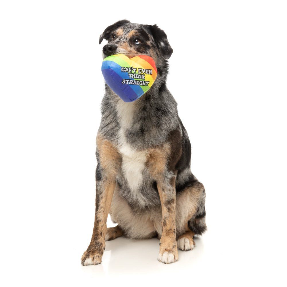 15% OFF: FuzzYard Can't Think Straight Dog Toy