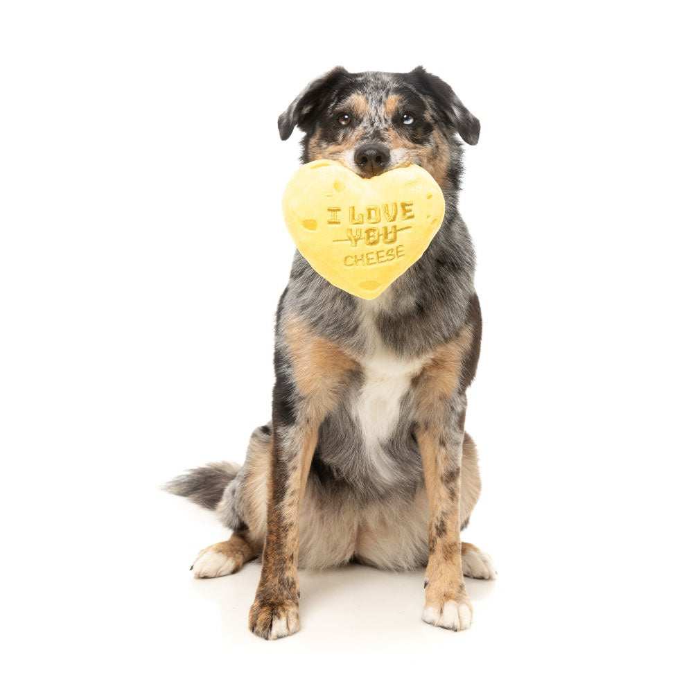 15% OFF: FuzzYard Cheese Heart Dog Toy
