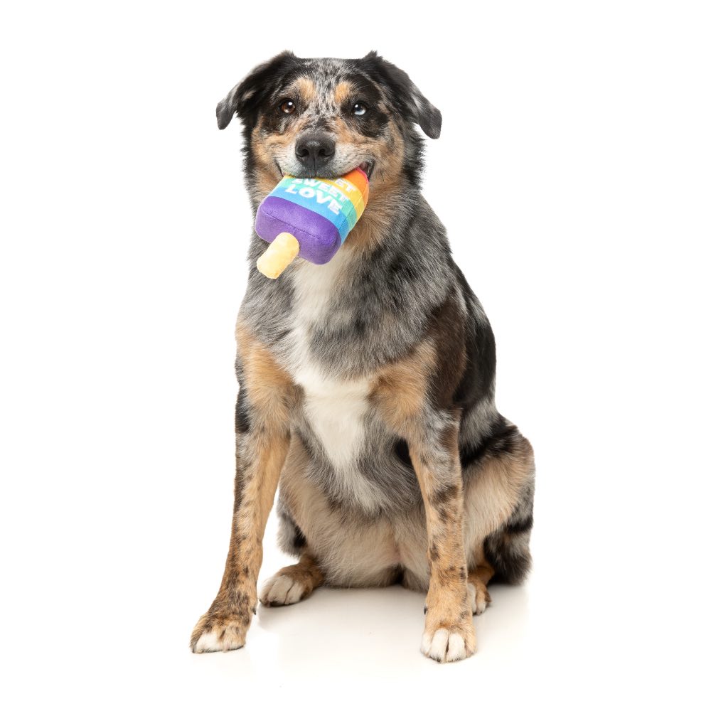 15% OFF: FuzzYard Love Icy Pole Dog Toy