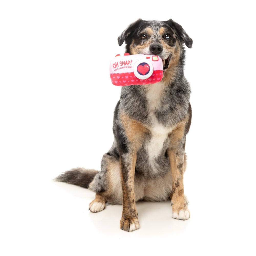15% OFF: FuzzYard Oh Snap Camera Dog Toy