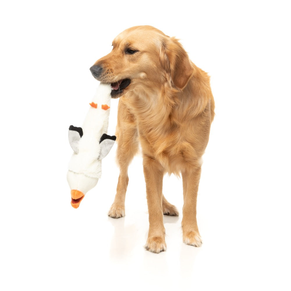 15% OFF: FuzzYard See-ya Seagull Dog Toy