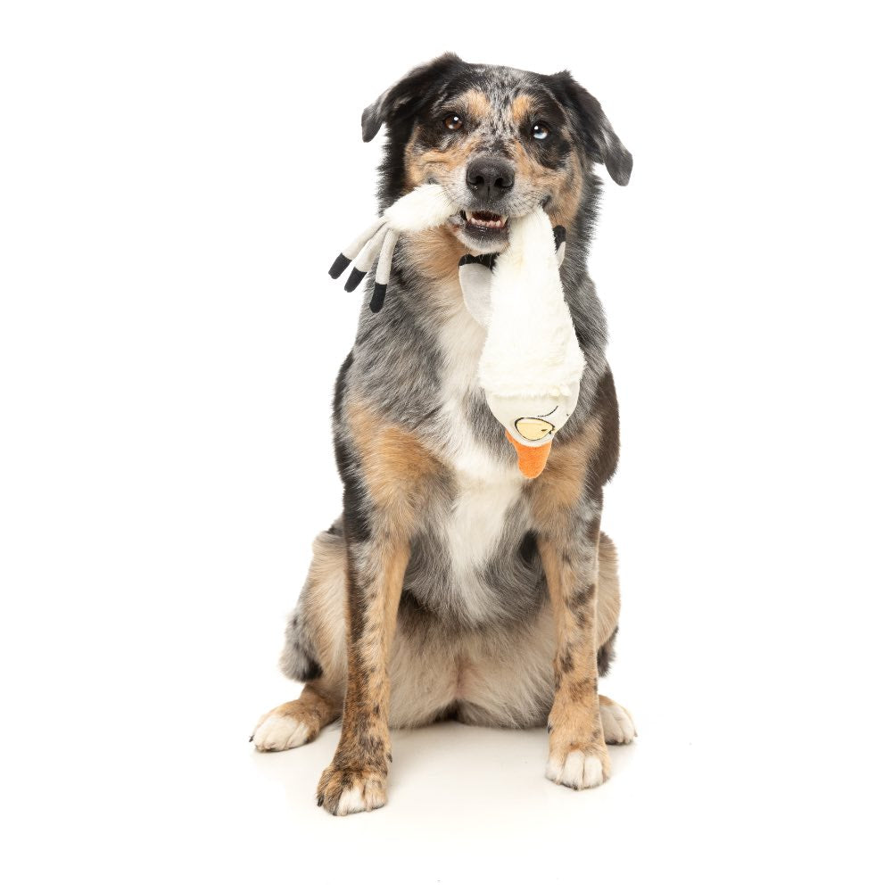 15% OFF: FuzzYard See-ya Seagull Dog Toy