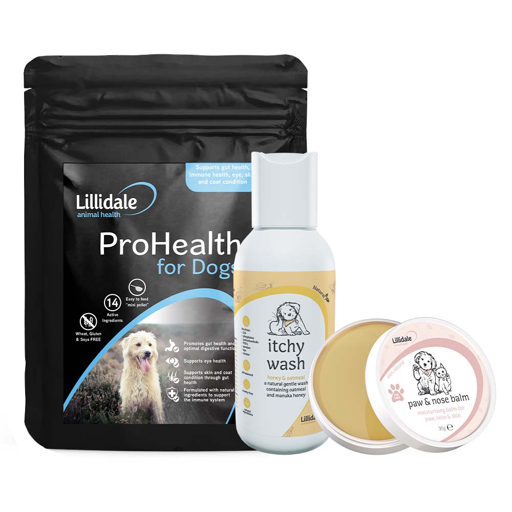 47% OFF: Lillidale Itchy Kit Dog Trial Box