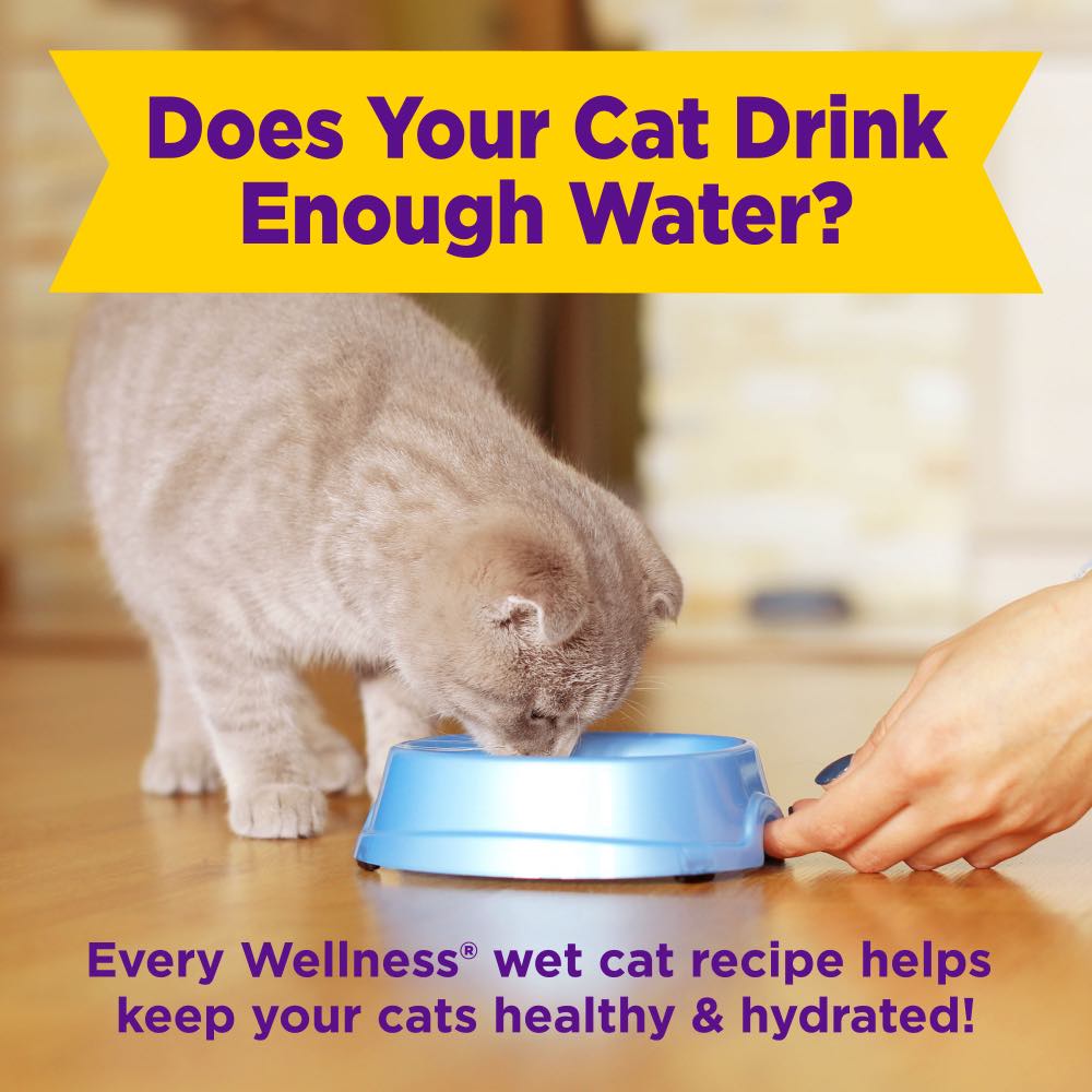 "$1 OFF: Wellness Appetizing Entrees Flaked Tuna, Mackerel & Shrimp Adult Pouch Cat Food 1.4oz"