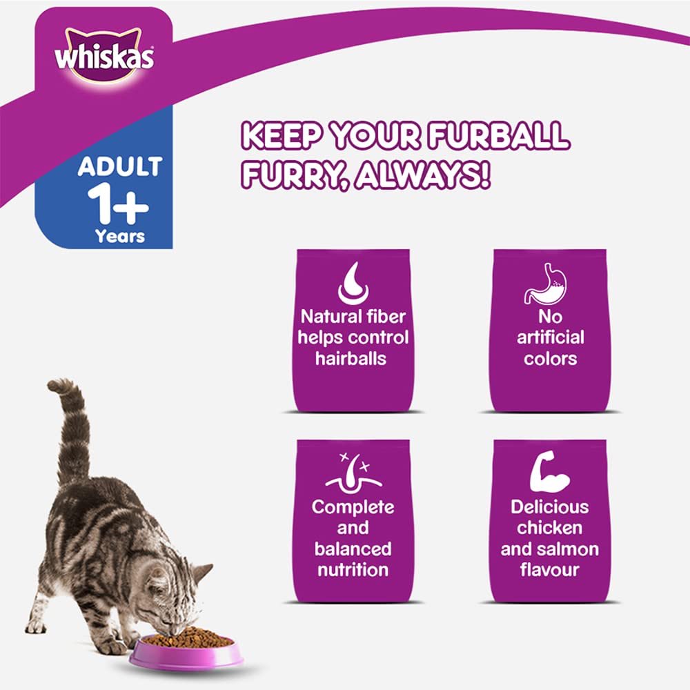'65% OFF (Exp 9Apr25)': Whiskas Skin & Coat Chicken & Salmon Adult Dry Cat Food 1.1kg