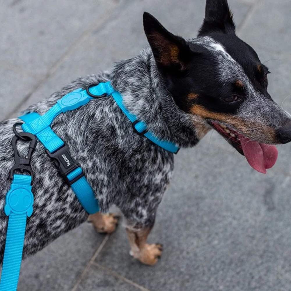 Zee.Dog Ultimate Blue Ruff Dog Leash